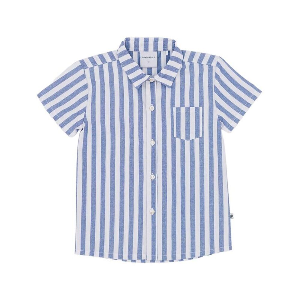Bums & Roses Boys  Blue Stripe Boy's Button Down Shirt, Multicolor